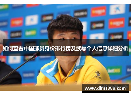 如何查看中国球员身价排行榜及武磊个人信息详细分析
